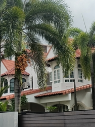 Jalan Senang (D14), Semi-Detached #490856721